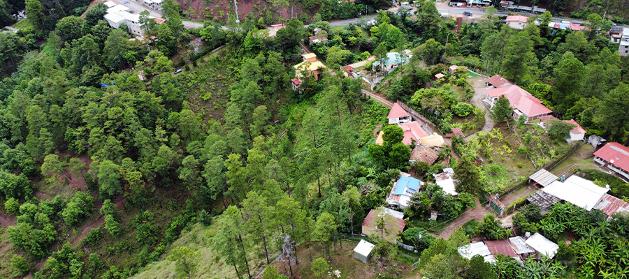 Vista del proyecto Villa Napoleón — calle privada interna y lotes con infraestructura lista en Km 18, carretera a Valle de Ángeles, Honduras